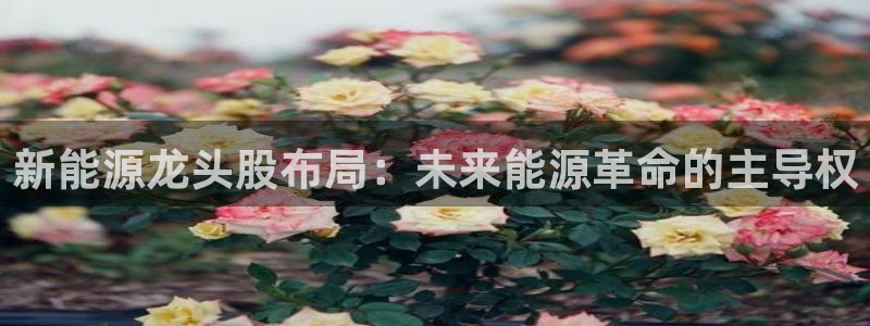 众腾娱乐平台官网入口:新能源龙头股布局: 众腾娱乐平台官网入口:新能源龙头股布局: